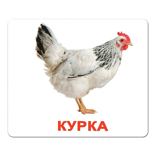 Набор карточек Домана Мой первый чемоданчик (100 карточек)