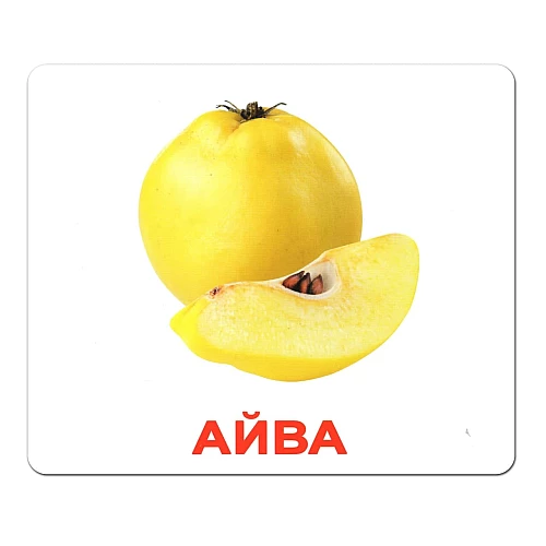 Набор карточек Домана Мой первый чемоданчик (100 карточек)