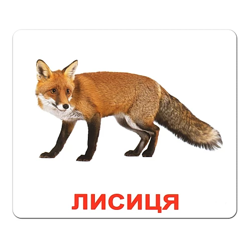 Набір карток Домана Дикі тварини (20 карток)