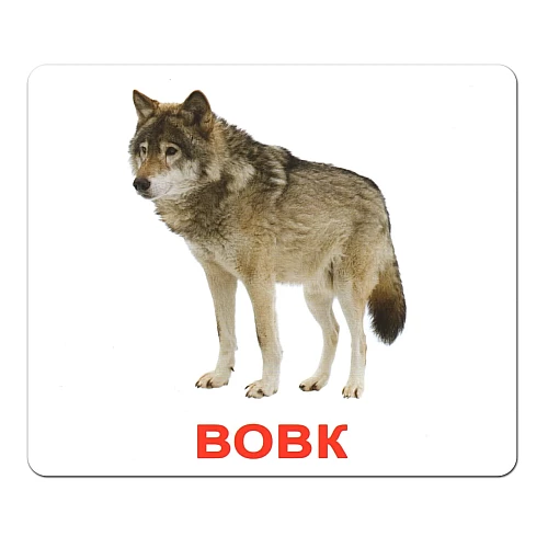 Набір карток Домана Дикі тварини (20 карток)