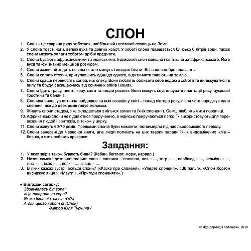 Набір карток Домана Дикі тварини (20 карток)
