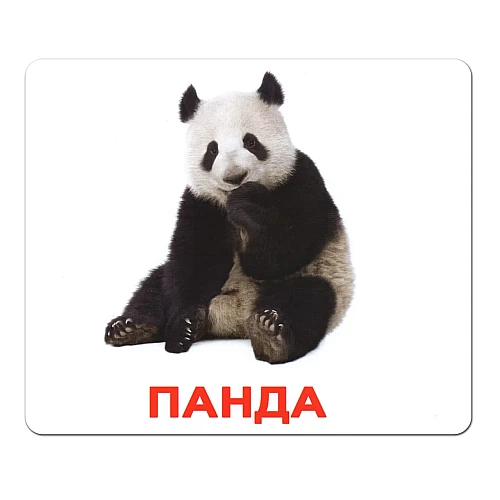 Набір карток Домана Дикі тварини (20 карток)