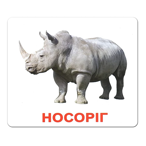 Набір карток Домана Дикі тварини (20 карток)