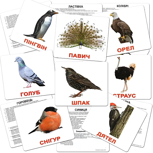 Подарочный набор карточек Домана Большой чемодан (20 комплектов)