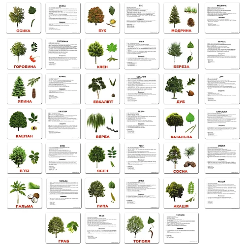 Подарочный набор карточек Домана Большой чемодан (20 комплектов)