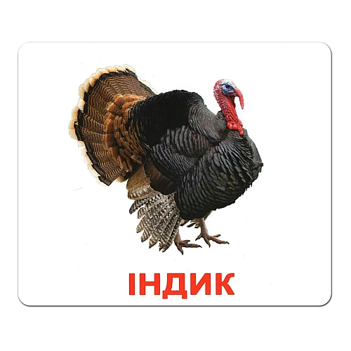 Подарочный набор карточек Домана Большой чемодан (20 комплектов)