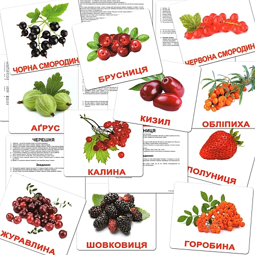 Подарочный набор карточек Домана Большой чемодан (20 комплектов)