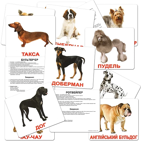 Подарочный набор карточек Домана Большой чемодан (20 комплектов)