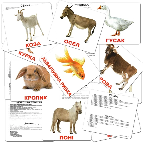 Подарочный набор карточек Домана Большой чемодан (20 комплектов)