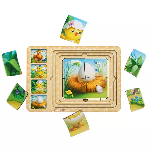 Розвиваючий пазл Етапи розвитку курочки