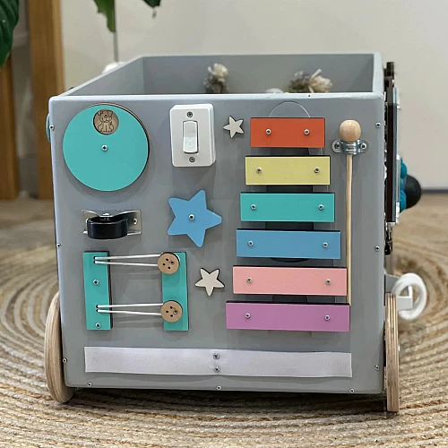 Развивающая игрушка Бизикаталка