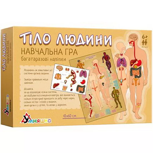 Развивающий набор с многоразовыми наклейками Тело человека (39 шт)