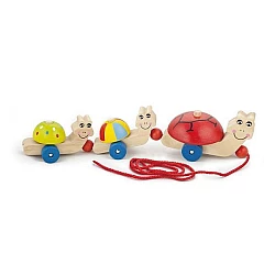 Развивающая игрушка каталка 3 черепашки от Viga Toys