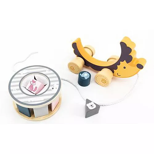 Развивающая деревянная каталка-сортер Ежик от Viga Toys Развивающая деревянная каталка-сортер Ежик от Viga Toys