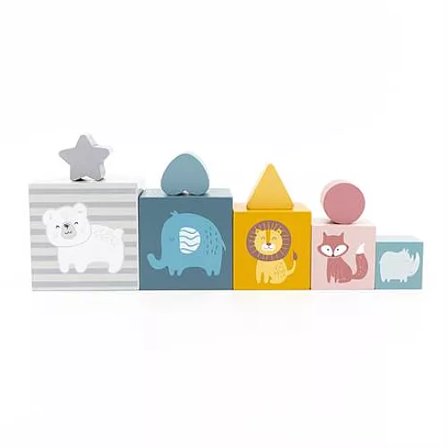 Развивающий набор сортер Кубики PolarB (9 деталей) от Viga Toys Развивающий набор сортер Кубики PolarB (9 деталей) от Viga Toys