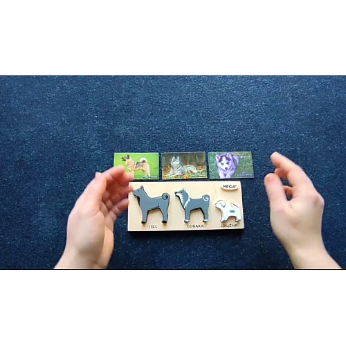 Рамка-вкладиш Собаки (3 шт) від Hega