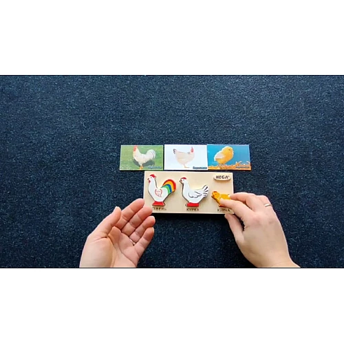 Рамка-вкладиш Кури (3 шт) від Hega