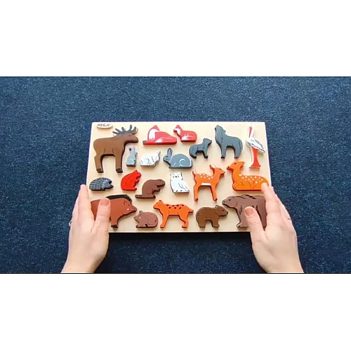 Рамка-вкладыш дикие звери Украины (20 шт) от Hega