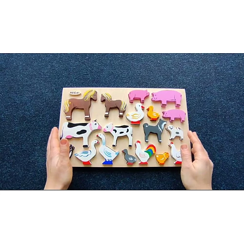 Розвиваючий набір фігурок Домашні тварини (18 шт) від Hega