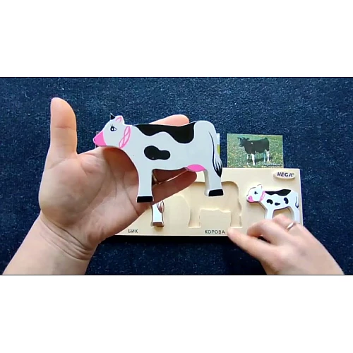 Рамка-вкладиш Корови (3 шт) від Hega