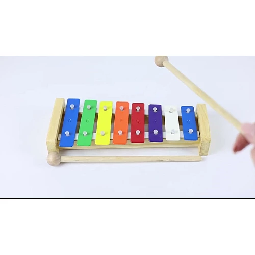 Розвиваюча музична іграшка ксилофон 8 тонів від Obetty