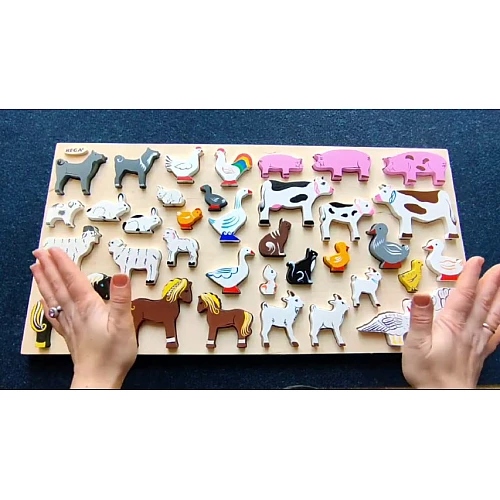 Розвиваючий набір фігурок Домашні тварини (37 шт) від Hega