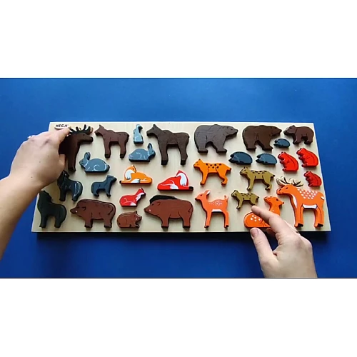 Рамка-вкладыш Дикие животные Украины (31 шт) от Hega