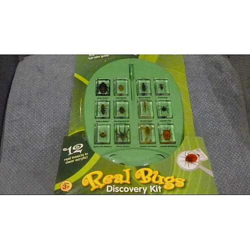 Навчальний набір Комахи від Lakeshore