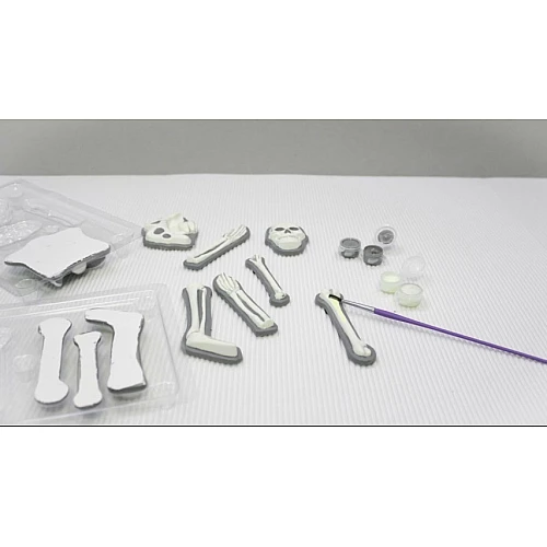 Розвиваючий набір Блискучий скелет людини від 4M