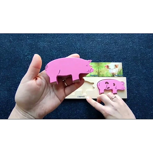 Рамка-вкладыш Свиньи (3 шт) от Hega