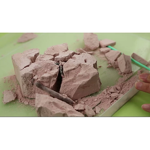 Научный набор для раскопок насекомых от 4M