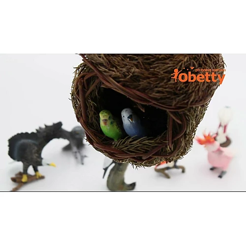 Развивающий набор фигурок Птицы (21 шт) от Obetty