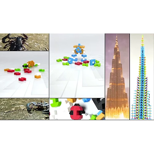 Строительный набор STEM Разноцветные блоки (500 деталей) от Guidecraft