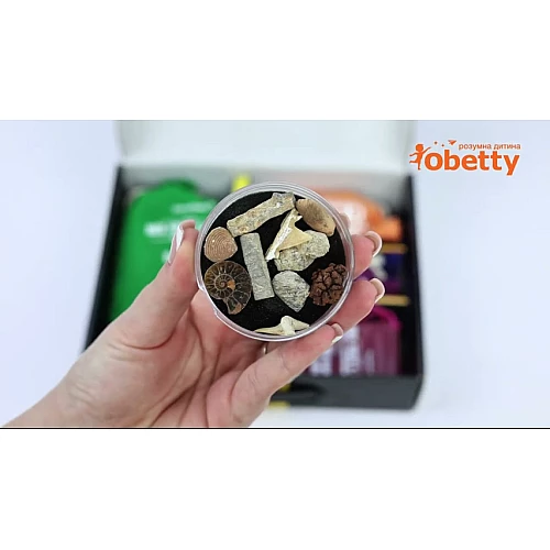 Науковий STEM-набір Колекція каменів та мінералів (250 шт) від Dan & Darci