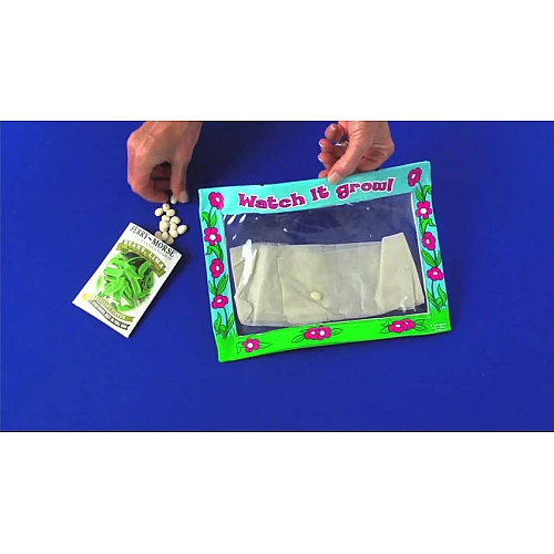 Развивающий набор Жизненный цикл от Lakeshore