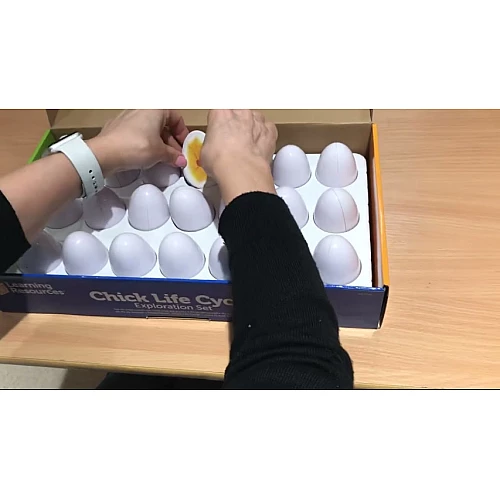 Розвиваючий набір Життєвий цикл курчат (21 яйце) від Learning Resources