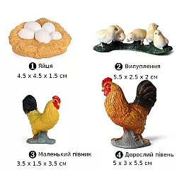 Развивающий набор фигурки Жизненный цикл петуха (4 шт) от Obetty